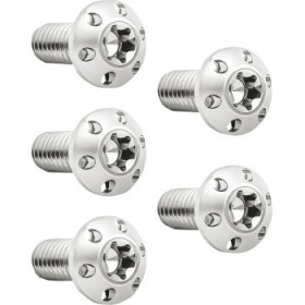 ARLEN NESS BOLT KIT - HOLESHOT/BRAKE ROTOR/REAR - HUB MOUNT - POLISHED - 3/8-16 X 1 - 5 PACK # 300-909