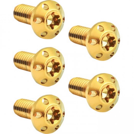 ARLEN NESS BOLT KIT - HOLESHOT/BRAKE ROTOR/REAR - HUB MOUNT - GOLD - 3/8-16 X 1 - 5 PACK # 300-911 ARLEN NESS BOLT KIT - HOLESHOT/BRAKE ROTOR/REAR - HUB MOUNT - GOLD - 3/8-16 X 1 - 5 PACK # 300-911
