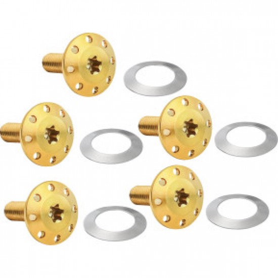 ARLEN NESS BOLT KIT - HOLESHOT/FRONT/FLOATING/BRAKE ROTOR - SPOKE MOUNT - GOLD - 5 PACK # 300-916