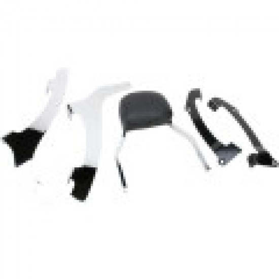 COBRA SISSY BAR - MINI - VT1300CR # 02-4636