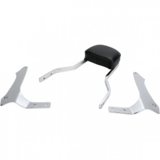 COBRA SISSY BAR - SHORT - RAIDER # 02-5765