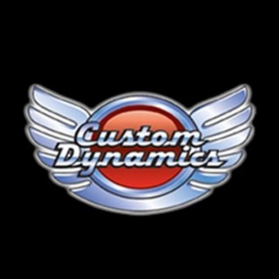 CUSTOM DYNAMICS DYNAMIC STRIPS V2 FRONT TURN SIGNALS # PB-DS2-13-C