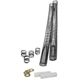 PROGRESSIVE FORK LOWERING KIT - INDIAN SCOUT PART # 10-1570