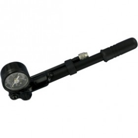 PROGRESSIVE MOUNTED PUMP - GAUGE - 60 LBS PART # GP3-60