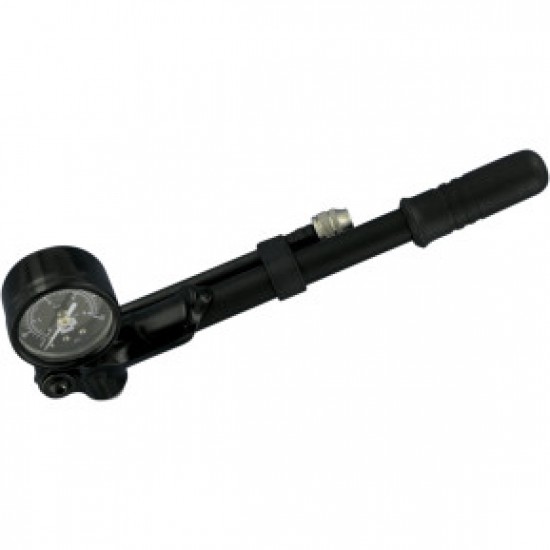 PROGRESSIVE MOUNTED PUMP - GAUGE - 60 LBS PART # GP3-60