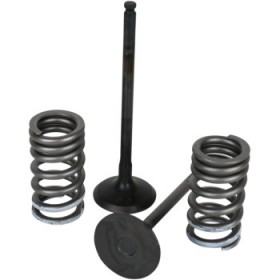 WISECO VALVE KIT # SVKB1340