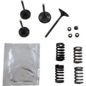 WISECO VALVE KIT # SVKB1403