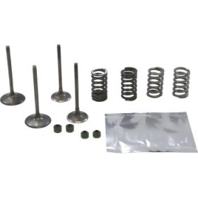 WISECO VALVE KIT # SVKB1404