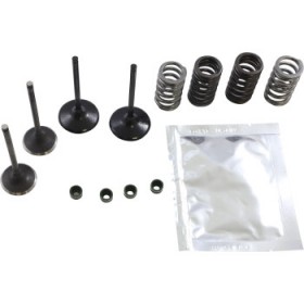 WISECO VALVE KIT # SVKB1409