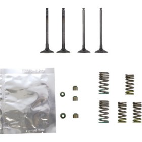 WISECO VALVE KIT # SVKB2402