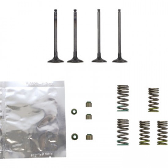 WISECO VALVE KIT # SVKB2402 WISECO VALVE KIT # SVKB2402