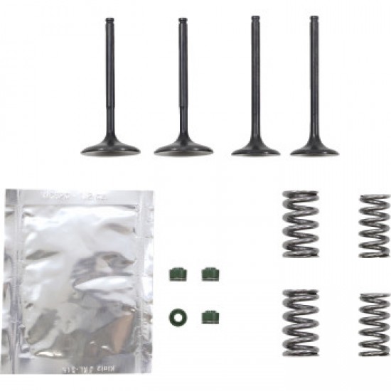 WISECO VALVE KIT # SVKB2440 WISECO VALVE KIT # SVKB2440