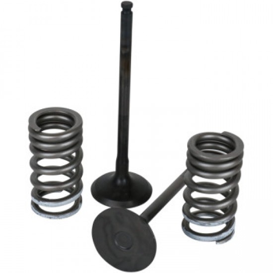 WISECO VALVE KIT # SVKB2444 WISECO VALVE KIT # SVKB2444