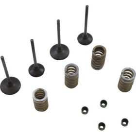 WISECO VALVE KIT # SVKB3338