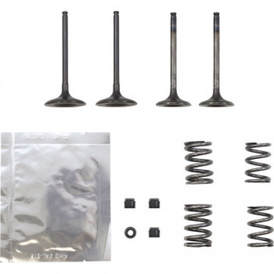 WISECO VALVE KIT # SVKB3405