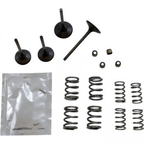 WISECO VALVE KIT # SVKB4406 WISECO VALVE KIT # SVKB4406